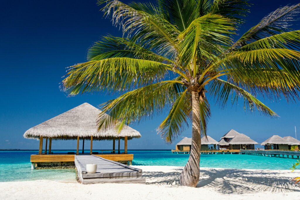 A palm tree stands on white sand near a wooden pier leading to thatched-roof huts over turquoise water under a clear blue sky, reminding us that not all points are equal on this idyllic shoreline.