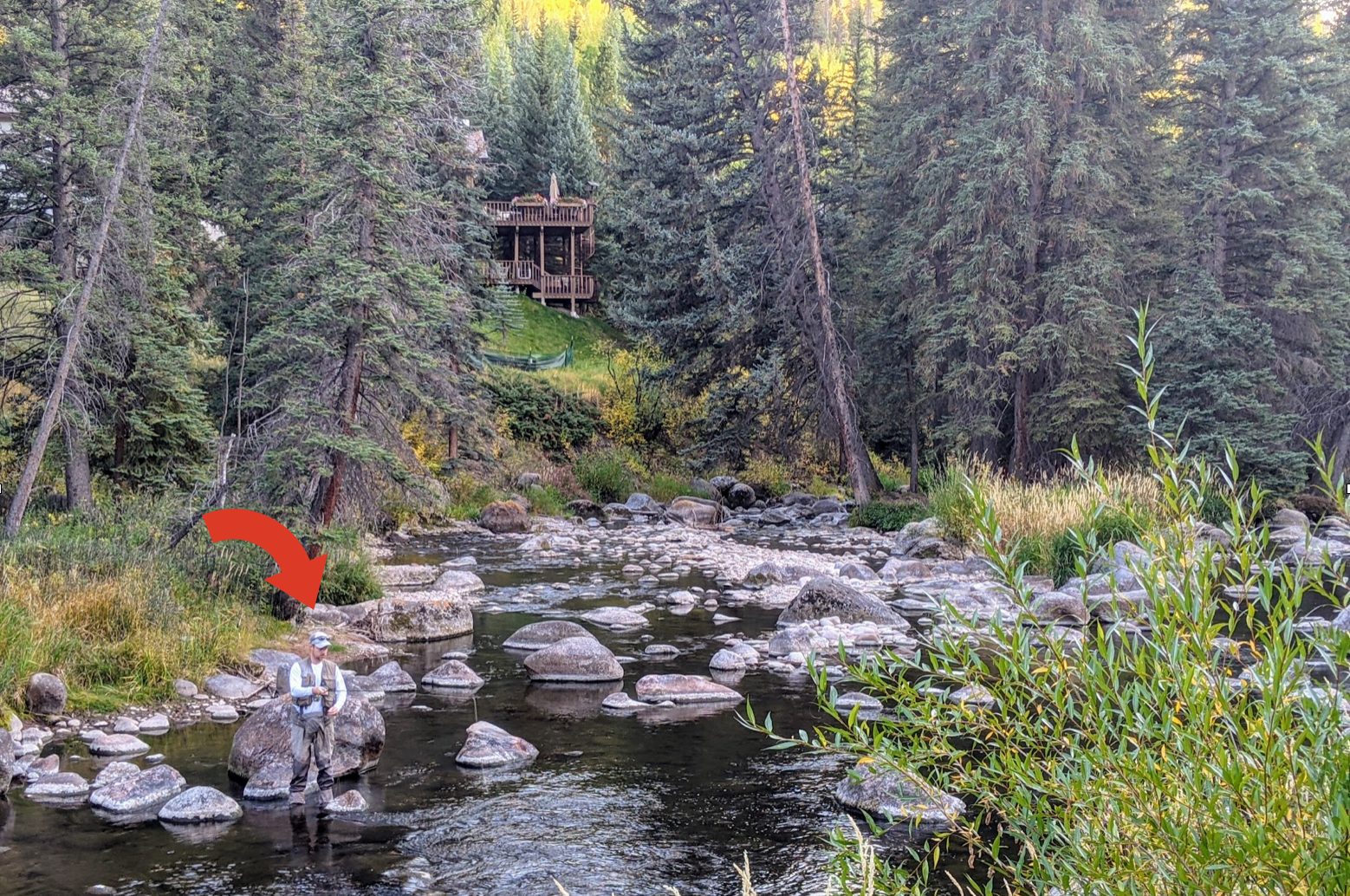 Fly Fishing in Creek Gore