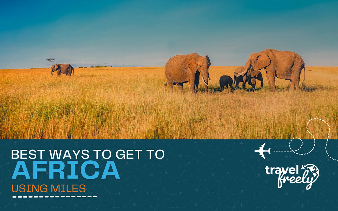 Best ways to get to Africa using miles