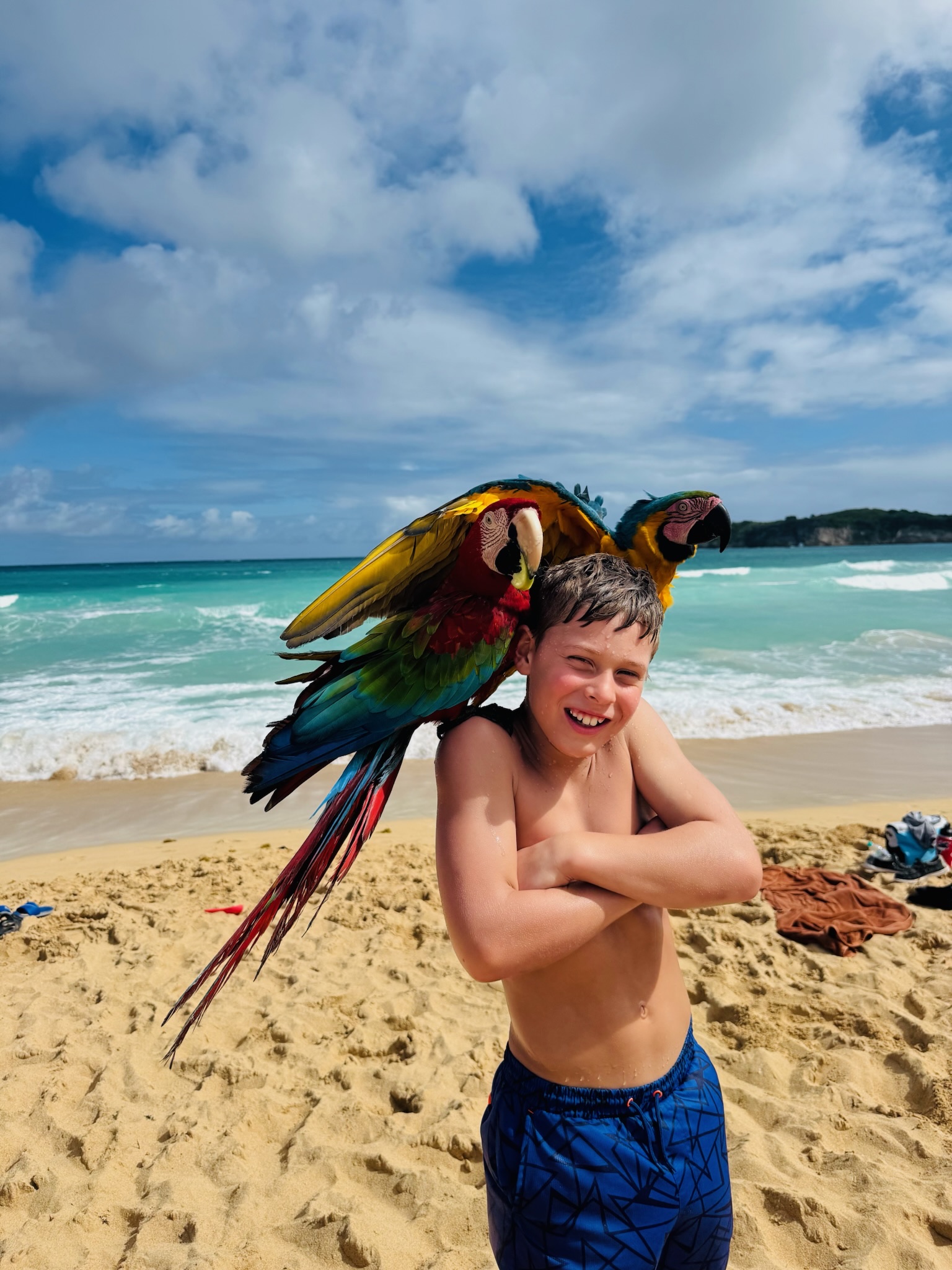 Smiling boy in blue swim trunks stands on a sandy beach with two colorful parrots perched on his shoulders. The ocean waves and blue sky with clouds are in the background.