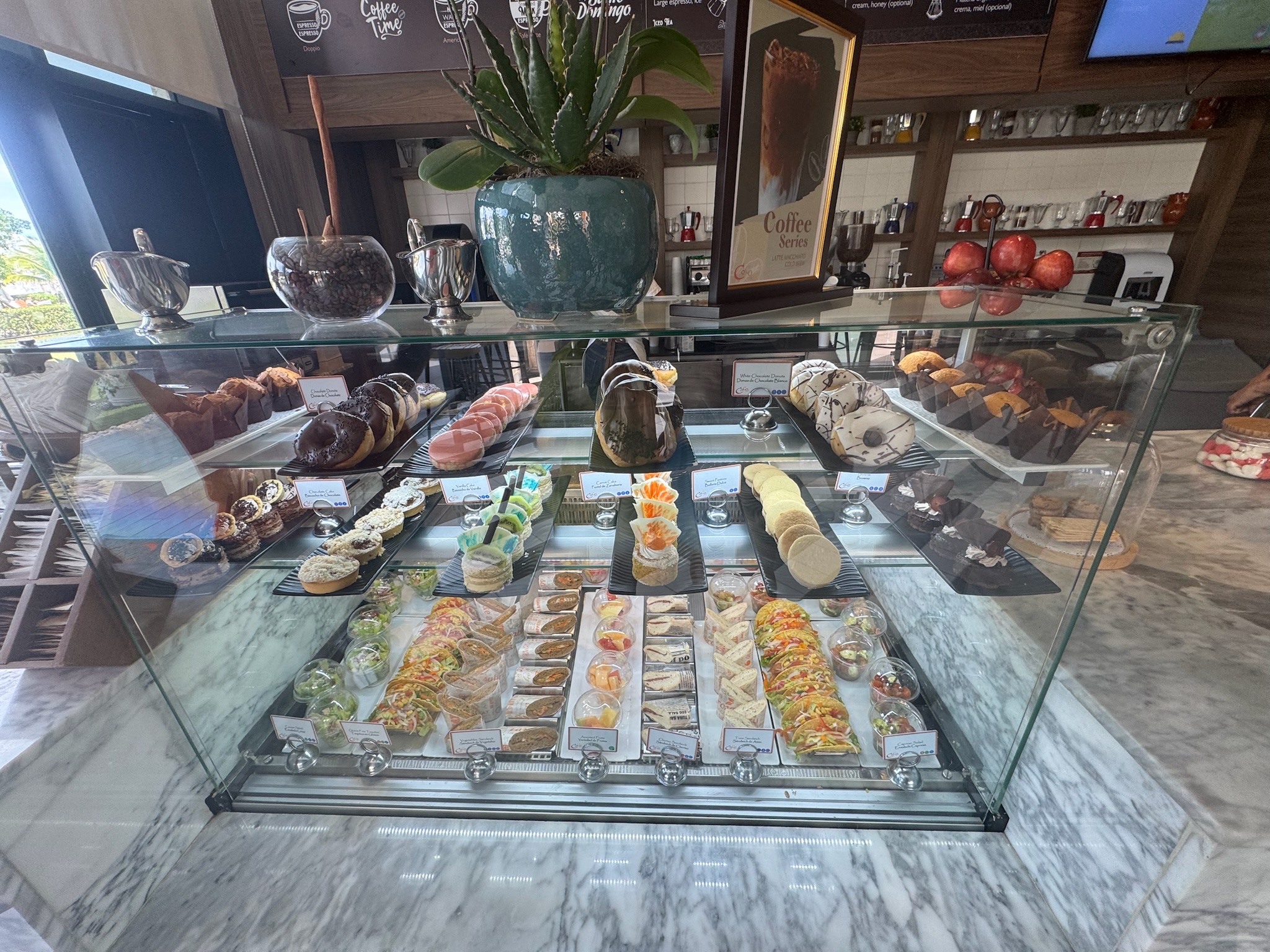 A glass display case in a café shows assorted pastries, sandwiches, macarons, cakes, and desserts organized on trays. A green potted plant sits on top, with apples and decorative items nearby.