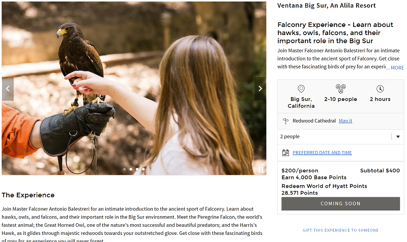 A woman gently touches a brown hawk perched on a falconer’s gloved hand during a falconry experience at an outdoor setting in Big Sur, California.