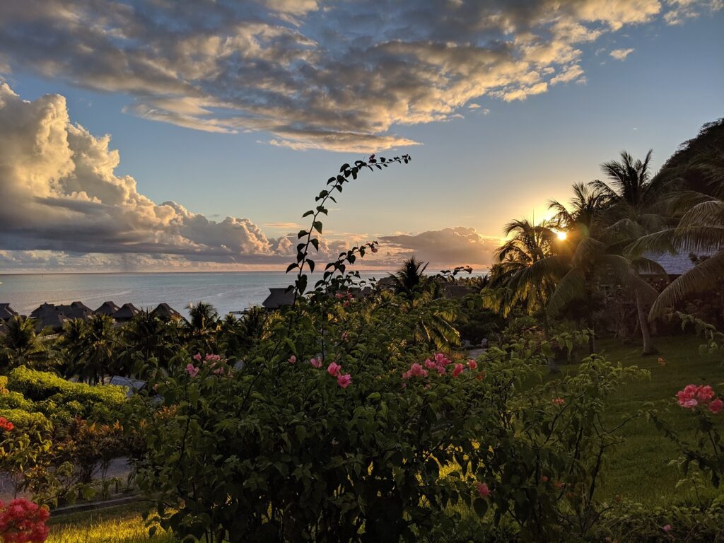 Sunset over a tropical landscape with palm trees, blooming flowers, and huts by the shore. Sunlight reflects off the calm ocean under a partly cloudy sky, creating a peaceful and scenic atmosphere.