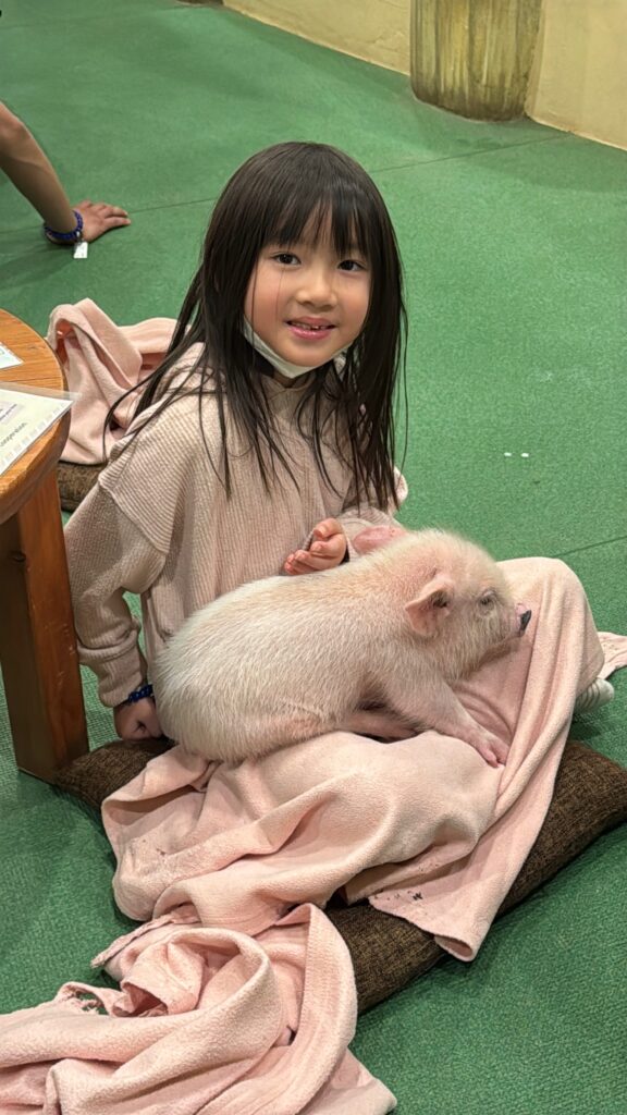 A young girl with long dark hair sits on a cushion, smiling at the camera while gently petting a small pink piglet resting on her lap. Both are surrounded by soft, light pink blankets on a green floor.